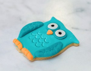 Kids Birthday Cookies - Owl 